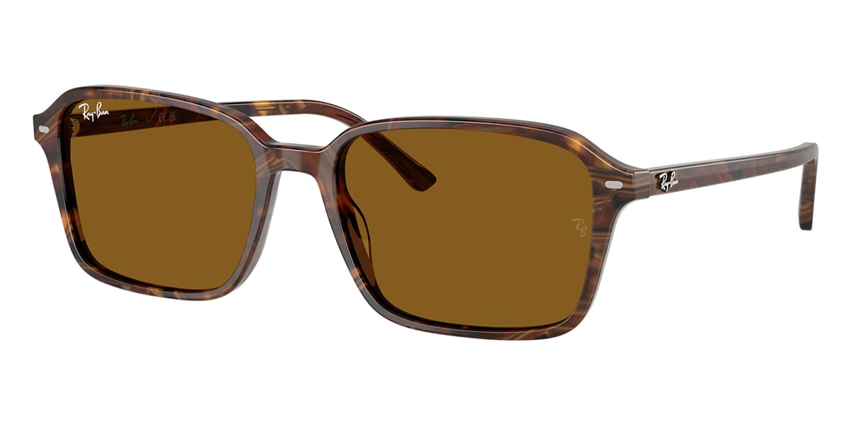Ray-Ban Raimond RB 2231 1418/33 - As Seen On Alex Warren