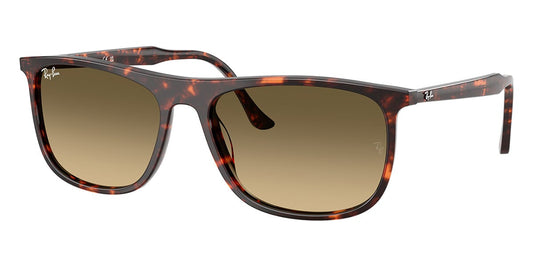 Ray-Ban RB 2216 1429/0A